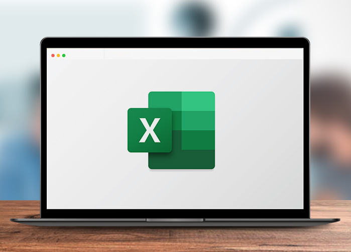Compatibility and Flexibility with Excel Format